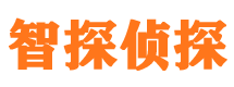 阳明市调查公司